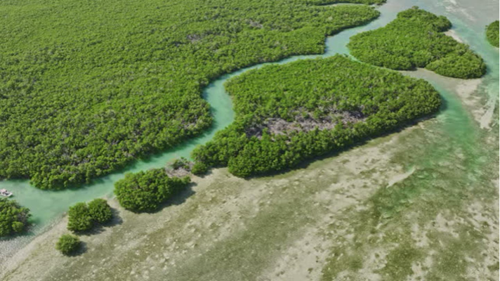Aerial view of Boca Grande Sandbar marsh
